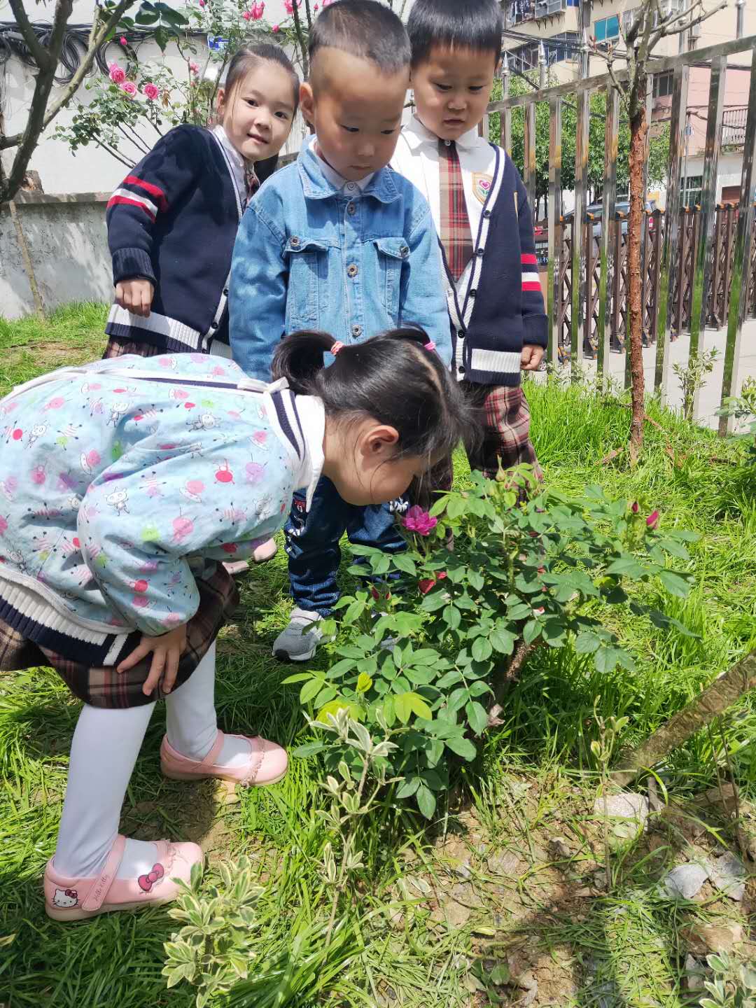 十堰爱弥儿幼儿园